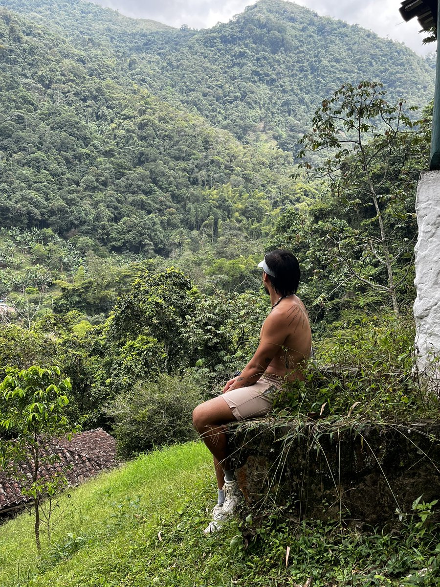 baker_maik's tweet photo. 🌿 https://t.co/LOsUNeBnOG