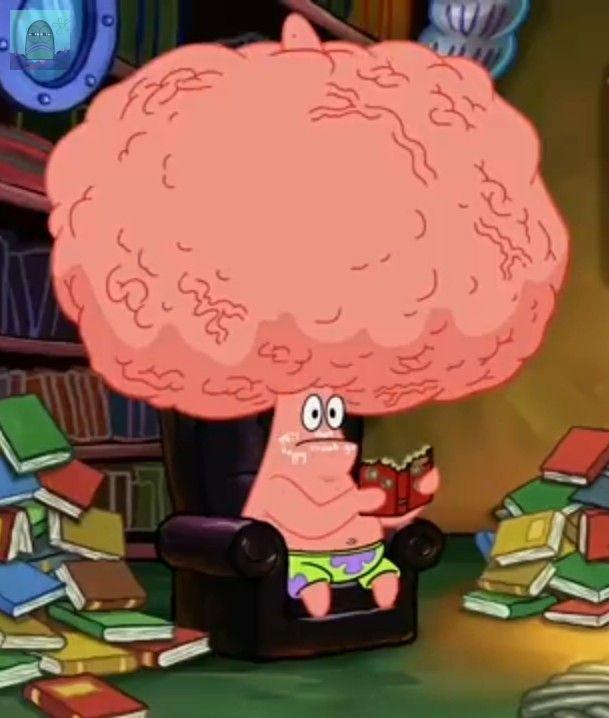 btw dia nih bukanya pengangguran ya? tapi kok bisa bertahan hidup? kira² tipsnya apa?
💚