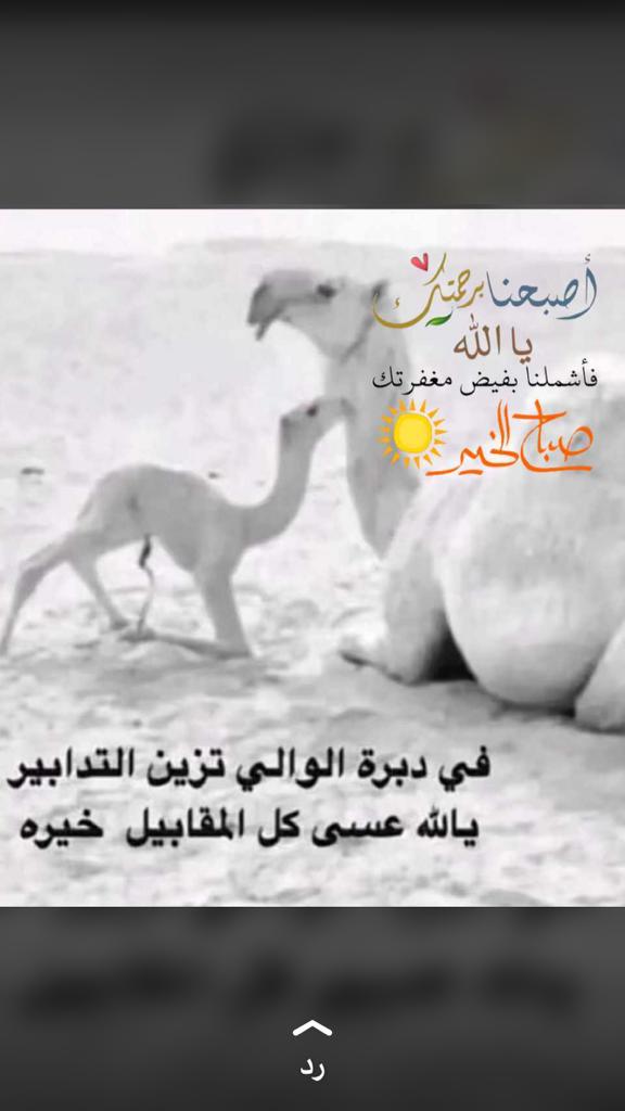 يارب عفوك ورضاك أصبحنا وأصبح الملك لله رب العالمين 🌺