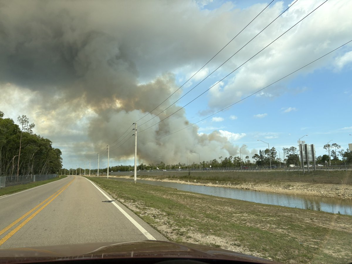 swfl_wanderer's tweet photo. I can’t wait for this drought to be over! 🔥 #flwx #swfl #drought #fireseason https://t.co/ubQnxWwlfA