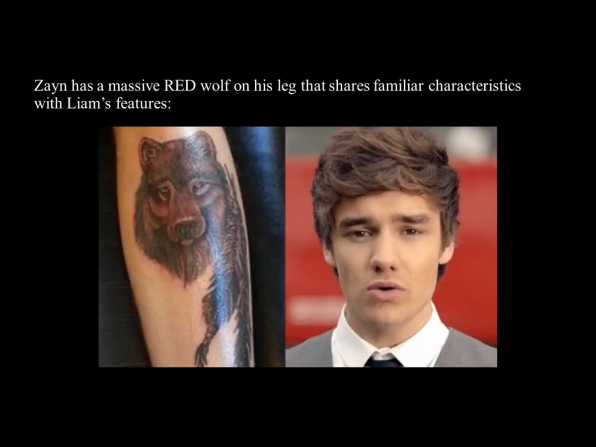 LynWil9's tweet photo. Wolf explanation of Ziam β₯οΈ β¨ π’ π¦β¨π@zaynmalik @LiamPayne #ZiamForever #Ziam #WolvesWarriors https://t.co/vBl4nZwj3W