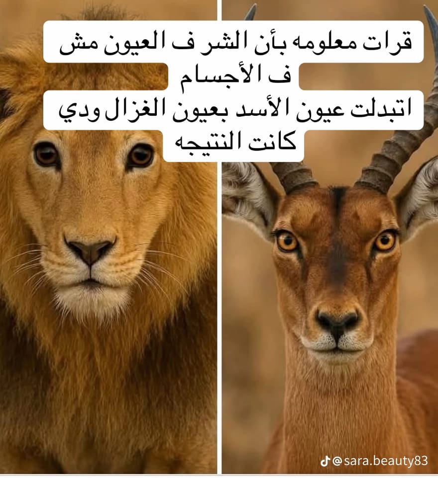 rhomi636's tweet photo. #بس_حبيت_أقول.. https://t.co/tjk7OsYk80