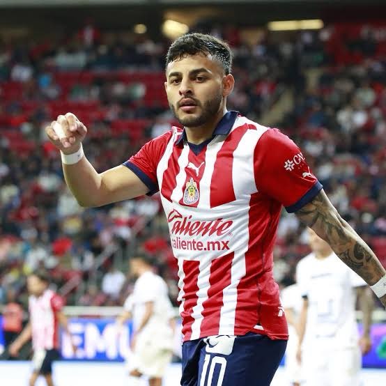 capcanelita's tweet photo. CÓMO SER CAMPEÓN DEL FÚTBOL MEXICANO EN SENCILLOS PASOS:
- Juega en Chivas.
- Deja Chivas.
✅👍 https://t.co/GAzLzAEDb0