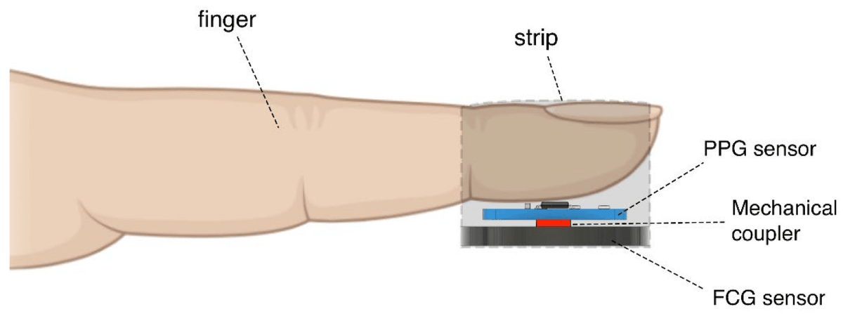 AdvSems's tweet photo. Direct extraction of respiratory information from pulse waves using a finger-inspired flexible pressure sensor system
Follow the link to learn more: https://t.co/xVjv3NRVOJ
For an in-depth look at smart materials, be with us at
https://t.co/84c2c975sx
#nano #particle #sensor https://t.co/AOngTEKqQ8