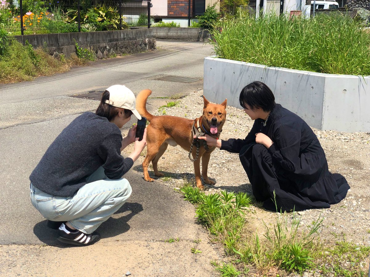 hanamaru428's tweet photo. エースくん、人気者になった日☺️

愛嬌満点💯 https://t.co/8PDcb41fUB