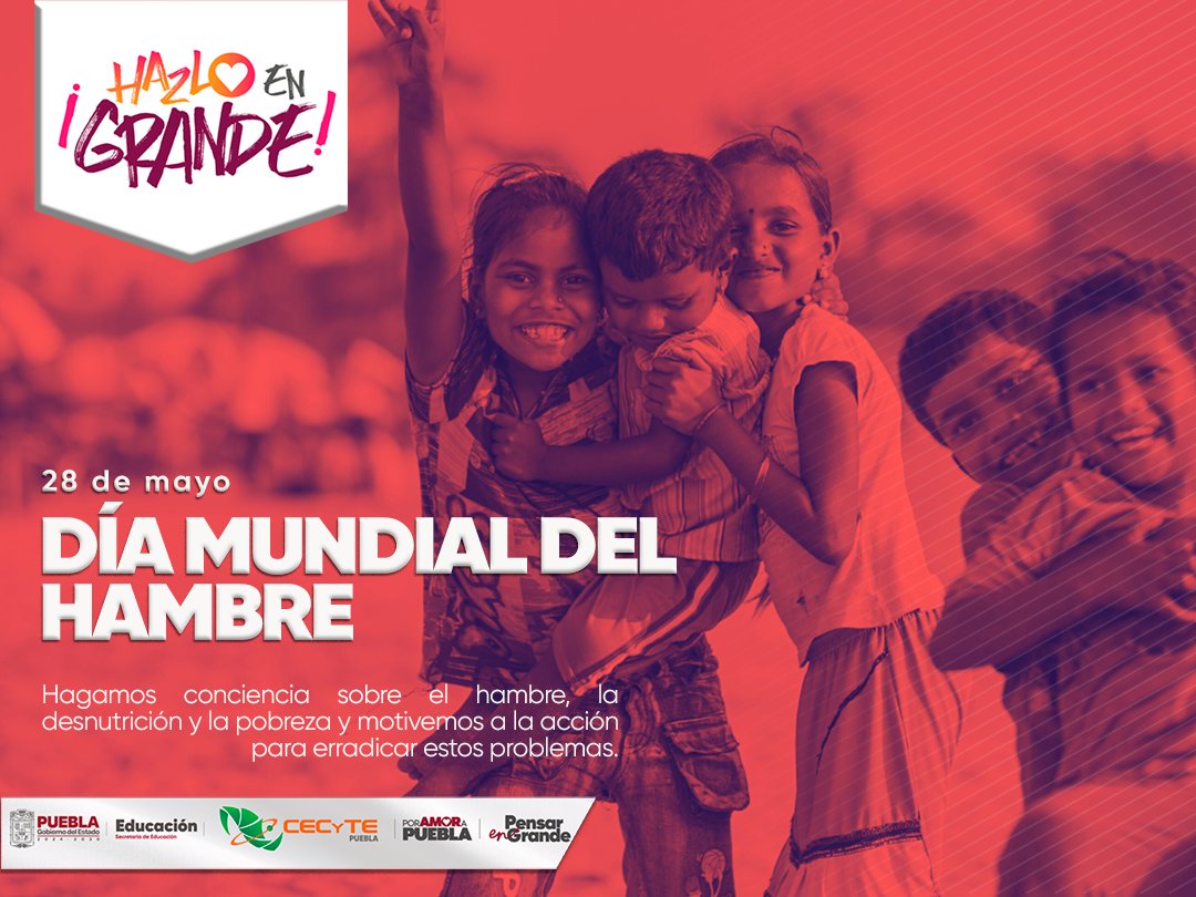 28 de mayo – Día Mundial del Hambre 🍽️ Más de 800 millones de personas  viven con hambre cada día. Este 28 de mayo, reflexionemos sobre la  desigualdad alimentaria y cómo podemos, image size:1080x810