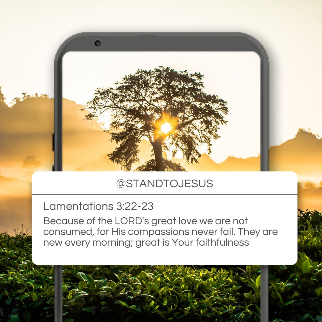 StandToJesus's tweet image. 