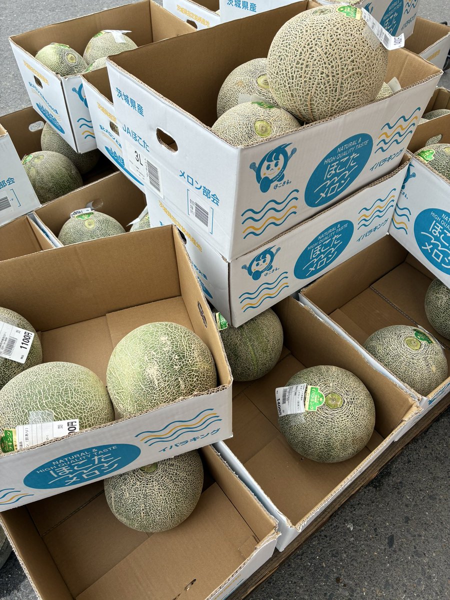 hakobono's tweet photo. 通りがかりの鉾田市でイバラキング発見🍈 https://t.co/gBP52E55RS