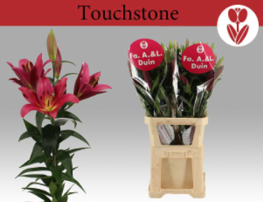 De laatste week van de maand, totaal 11773 karren.  En in het aanbod de eerste lelies uit Heemskerk