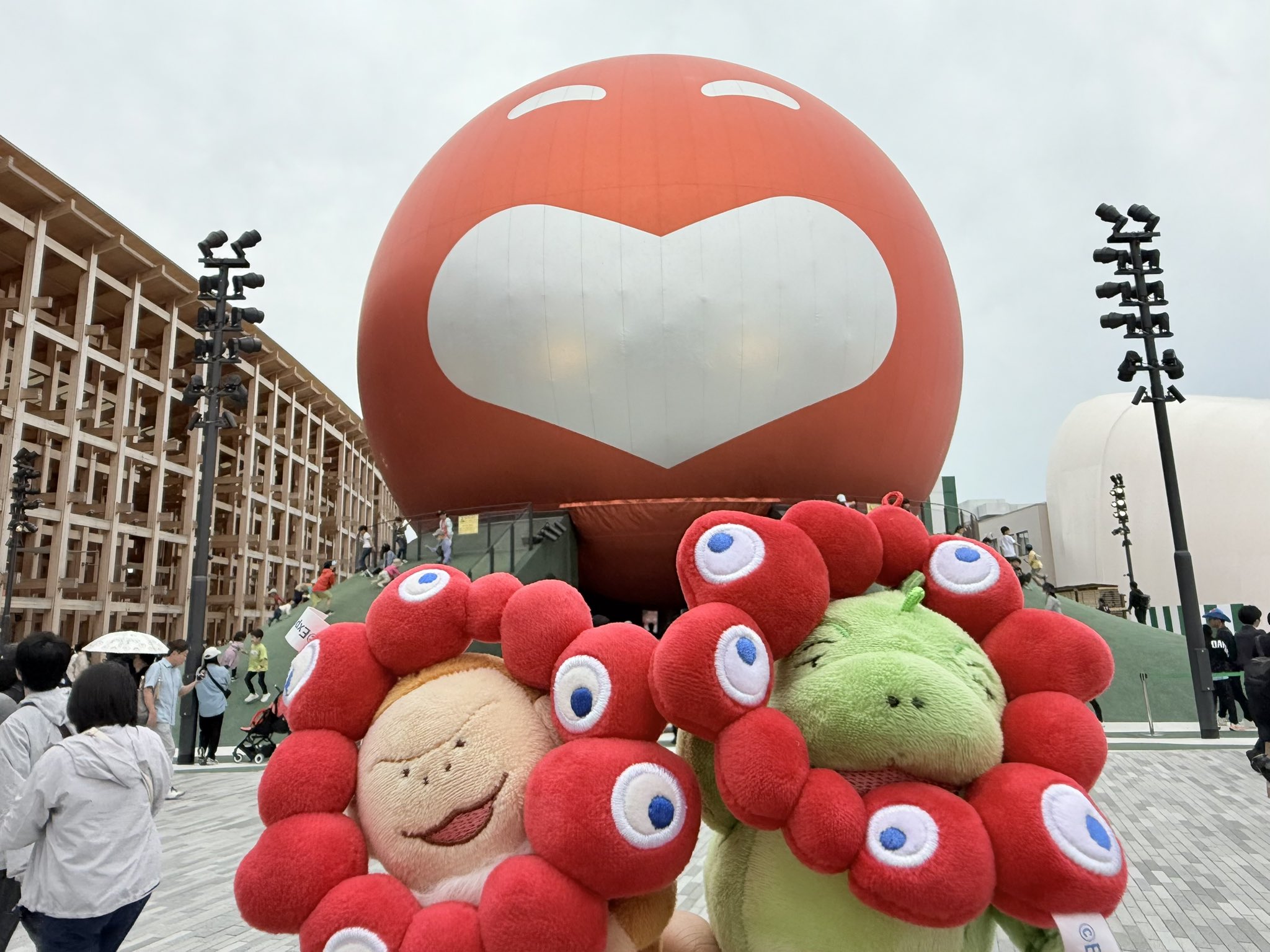 もふもと ダイアン ぬいぐるみ Amazon.co.jp: ダイアン もふもと