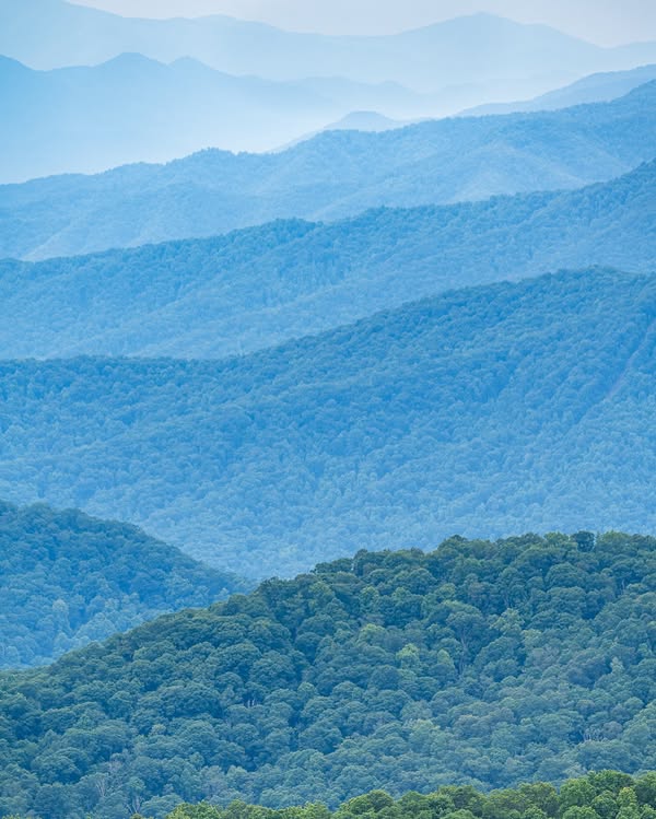 NWS GSP (@nwsgsp) on Twitter photo Summertime is back in the Blue Ridge Mountains of North Carolina! The mountains appear blue because specific oak and poplar trees here emit a chemical called isoprene to protect them against excessive heat.
Photo Credit: <a href="/AshevillePictu1/">Asheville Pictures</a>
#ncwx Summertime is back in the Blue Ridge Mountains of North Carolina! The mountains appear blue because specific oak and poplar trees here emit a chemical called isoprene to protect them against excessive heat.
Photo Credit: <a href="/AshevillePictu1/">Asheville Pictures</a>
#ncwx