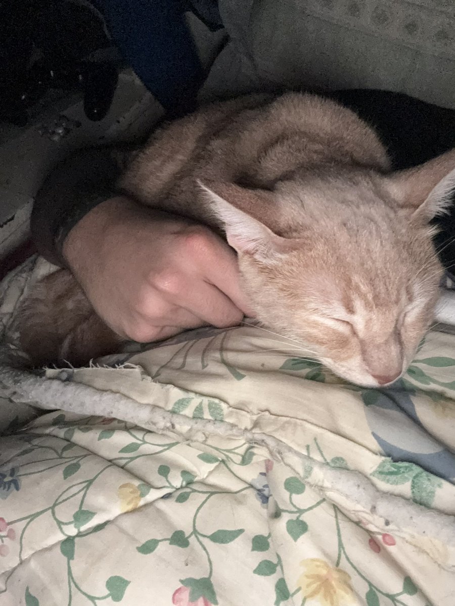 la paz que maneja este pequeñin