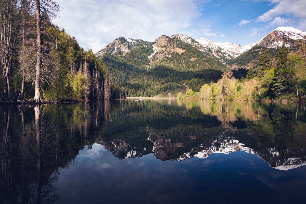PrestonPhotog's tweet image. Mountain reflections.
馃摲Nikon Z6 | Nikkor 24-200mm #nikoncreators