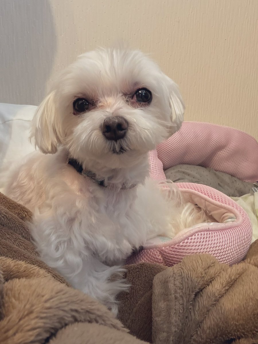 ❤️ SUIKAちゃん様❤️ ☆sAyaka☆ (@sAyaka_0526) / Posts / X