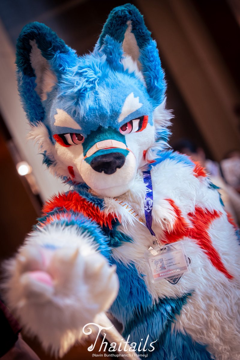 Hello cutie ☺️ 

#FursuitEveryday 

📸: <a href="/callmenoop/">Flamey</a>