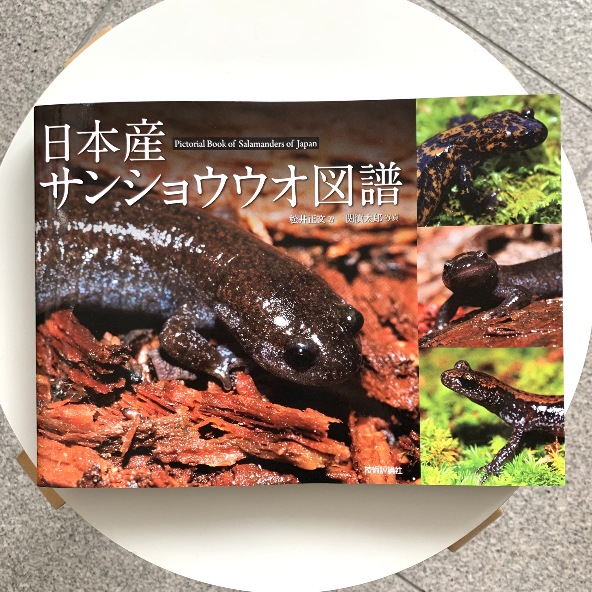 SAKANA BOOKS（サカナブックス）｜サカナに特化した本屋