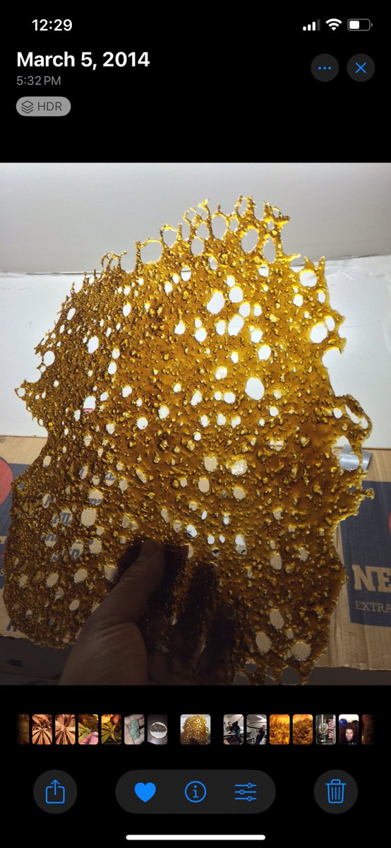 Bodie_Uncut's tweet photo. ๐ฟ DAY 17 of the 24/7 GROW-ATHON โ MASSIVE THANKS! ๐
Yโall are LEGENDS for the unreal support on & off stream! ๐ The plants are thrivinโ, and your vibes keep this grow-athon DANK. Stay tuned for more HASH & Q&As!
๐ https://t.co/fjKOYve3zz
#CannabisGrow #LiveGrow #HashLife https://t.co/yzaqzoil7w