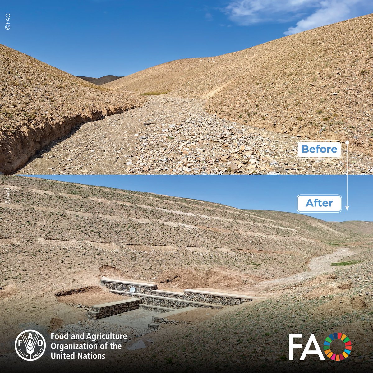 FAO in Afghanistan (@faoafghanistan) on Twitter photo Tera Liwan check dam—one of hundreds built by <a href="/FAO/">Food and Agriculture Organization</a> with <a href="/WorldBank/">World Bank</a> support in Gardez.
• Manages rainfall
• Prevents erosion
• Stores water
• Recharges groundwater
#WaterManagement Tera Liwan check dam—one of hundreds built by <a href="/FAO/">Food and Agriculture Organization</a> with <a href="/WorldBank/">World Bank</a> support in Gardez.
• Manages rainfall
• Prevents erosion
• Stores water
• Recharges groundwater
#WaterManagement