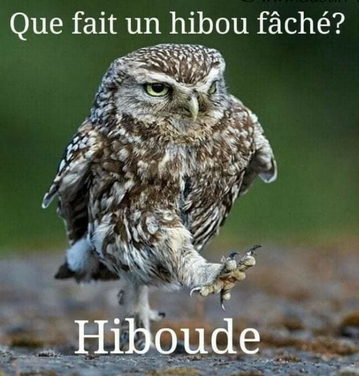 🅶🅾🆁🅺 tweet media