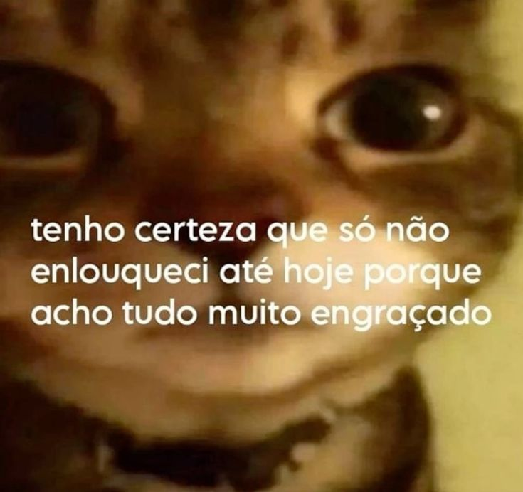 odeiootaco's tweet image. 