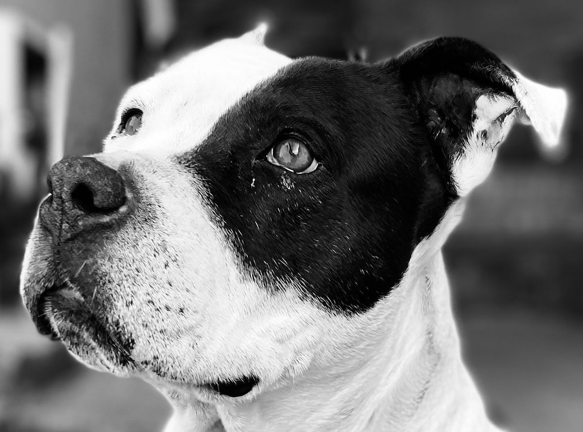 ¿No les pasa que desearían con el alma que fueran eternos?