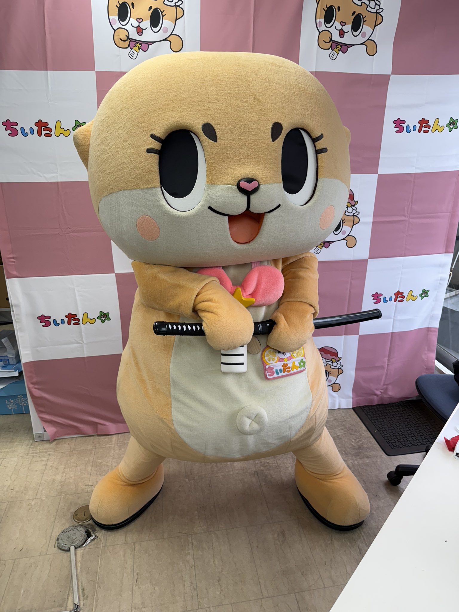 話題の人気 ちいたん☆ X / (@mickeyentry) その他