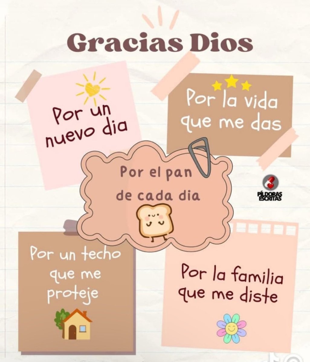 Gracias Señor 🙏🏻✨