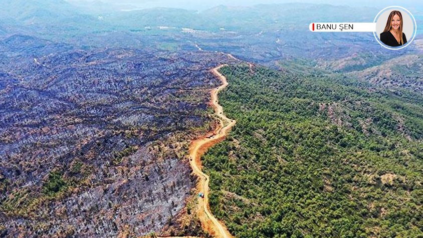 "Acıya yolculuk"

🖋 <a href="/bbanusen/">Banu Şen</a> yazdı

posta.com.tr/yazarlar/banu-…