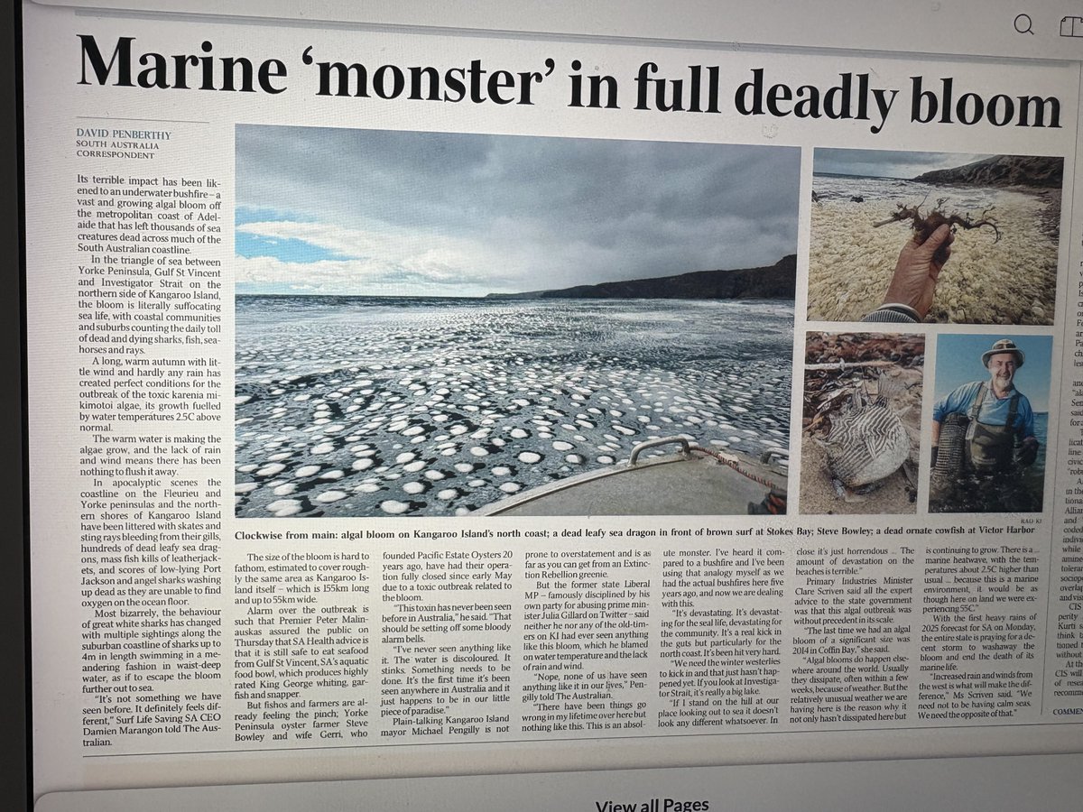 QuentinDempster's tweet image. No mention of global warming as a lethal “algal bloom” devastates South Australia’s marine life. SA reporter David Penberthy says a long, warm autumn created perfect conditions for outbreak of toxic “karenia mikimotoi” with water temperatures 2.5C above normal. 👇