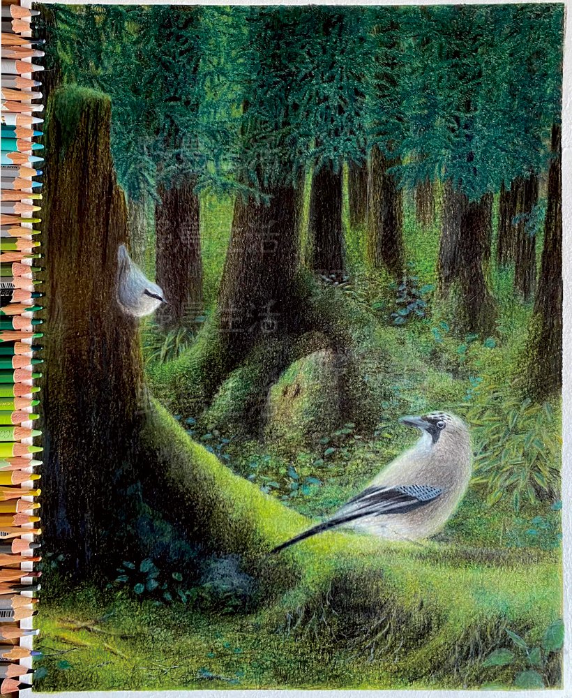 どんぐりころころ (@KOOROGIKOROKORO) / Posts / X