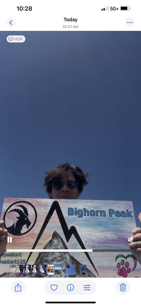 Bone of Contention (@bone_contention) on Twitter photo 