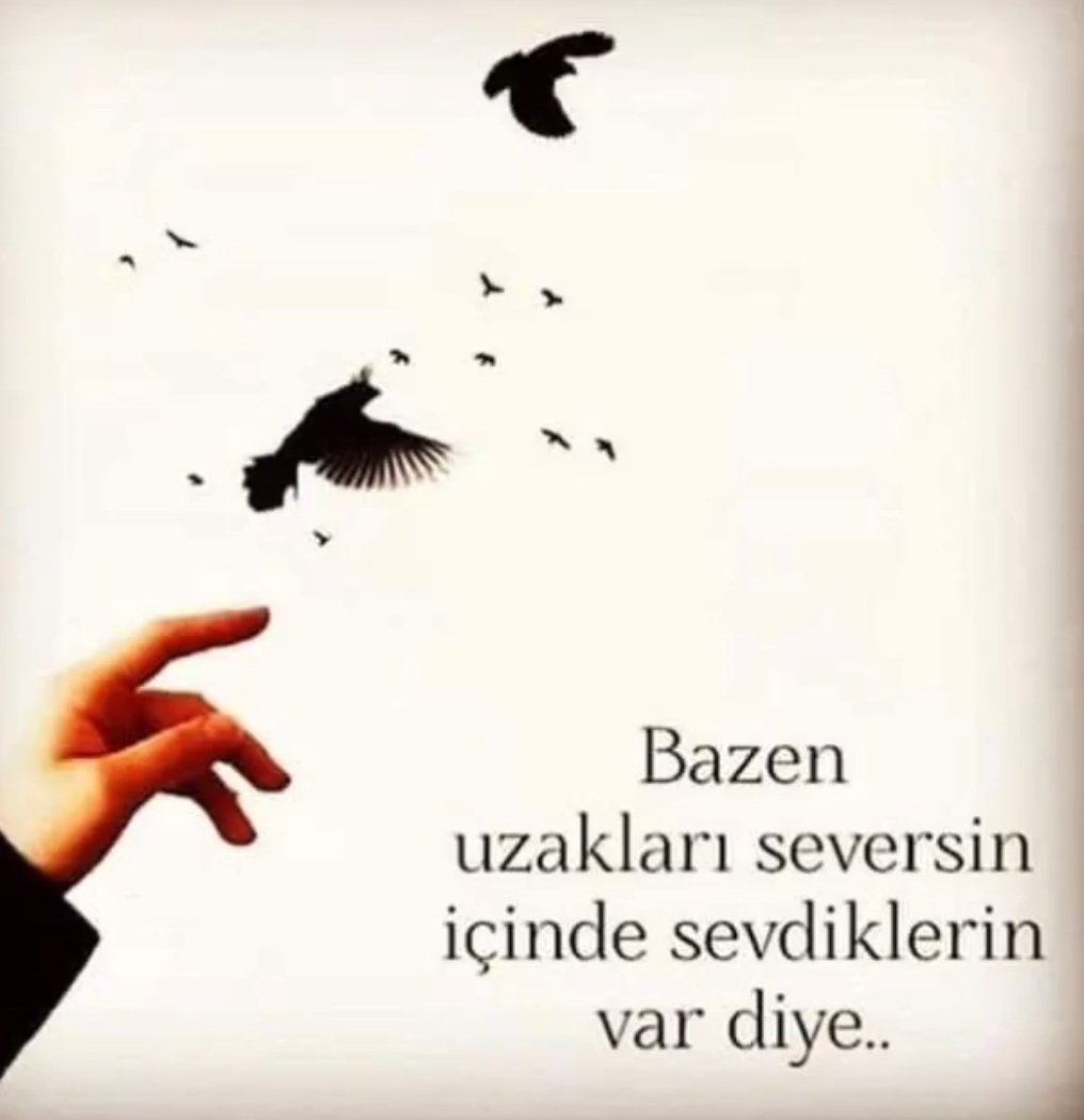 Günaydın 🌞🌺🍀⚘️🌹☕️
Keyifli bir gün 🌷🎶💐🦋
İyi bir hafta olsun 🌸🌻📚