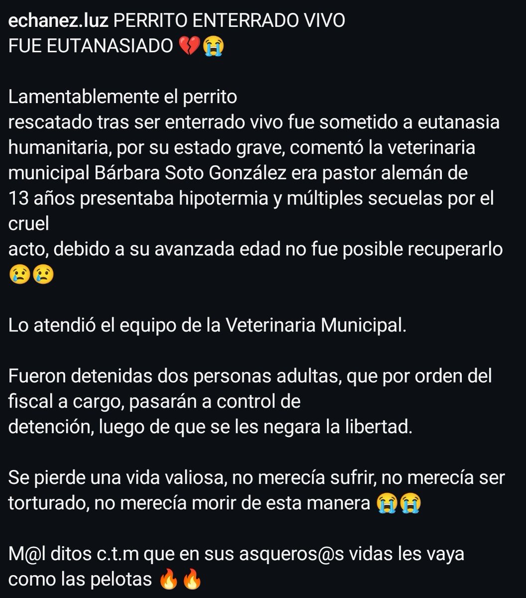 En la comuna de Los Álamos enterraron vivo a un perro. Hay 2 malnacidos reculeados detenidos. El perro debió ser eutanasiado. Lo subo para que la sanción social se haga presente si la justicia no lo hace.