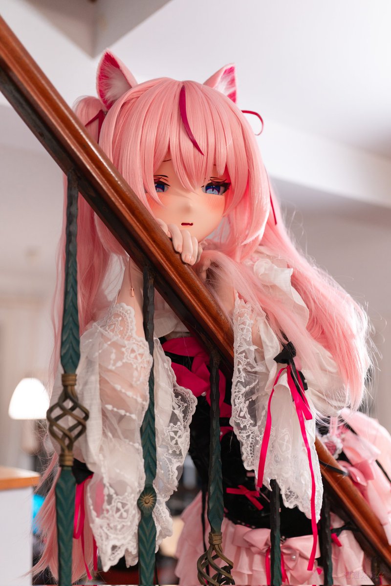 家人们，在楼梯上逮住了一只猫猫！她好像有点害羞。。不太亲人。

📷：<a href="/NNGnoMKT/">NNG 🛬</a> 感谢n大！！
还有梅老板提供的场地！！