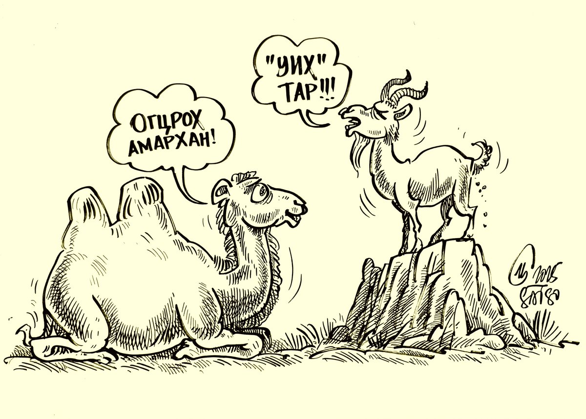 Тэмээ гэхээр ямаа гэж тэс хөндлөн орилж дайрах...