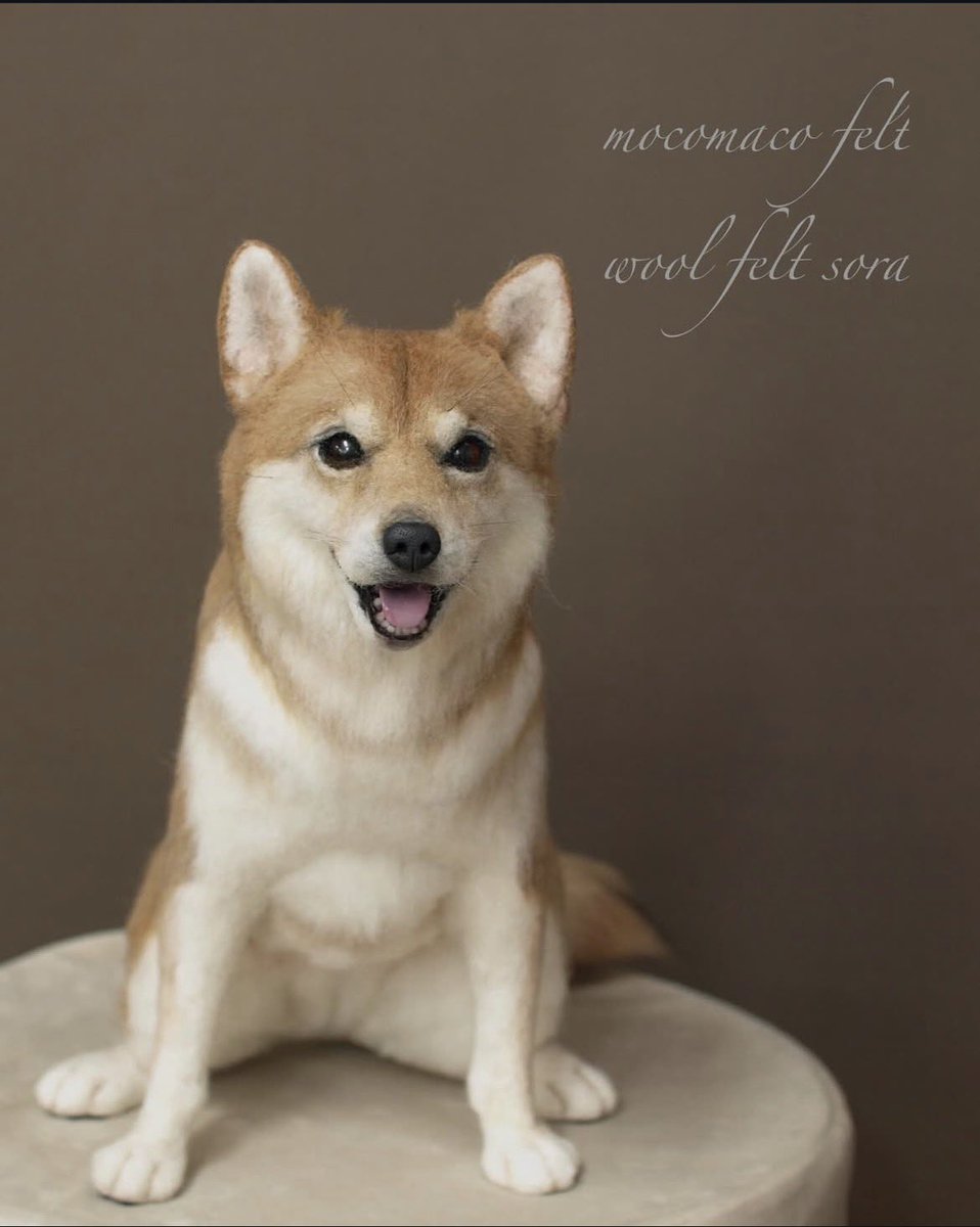 羊毛フェルトの柴犬くん達✨以前Instagramに投稿した歴代制作した柴犬くん達です♪他の作品もInstagramで紹介してます是非✨#羊毛フェルト #柴犬
