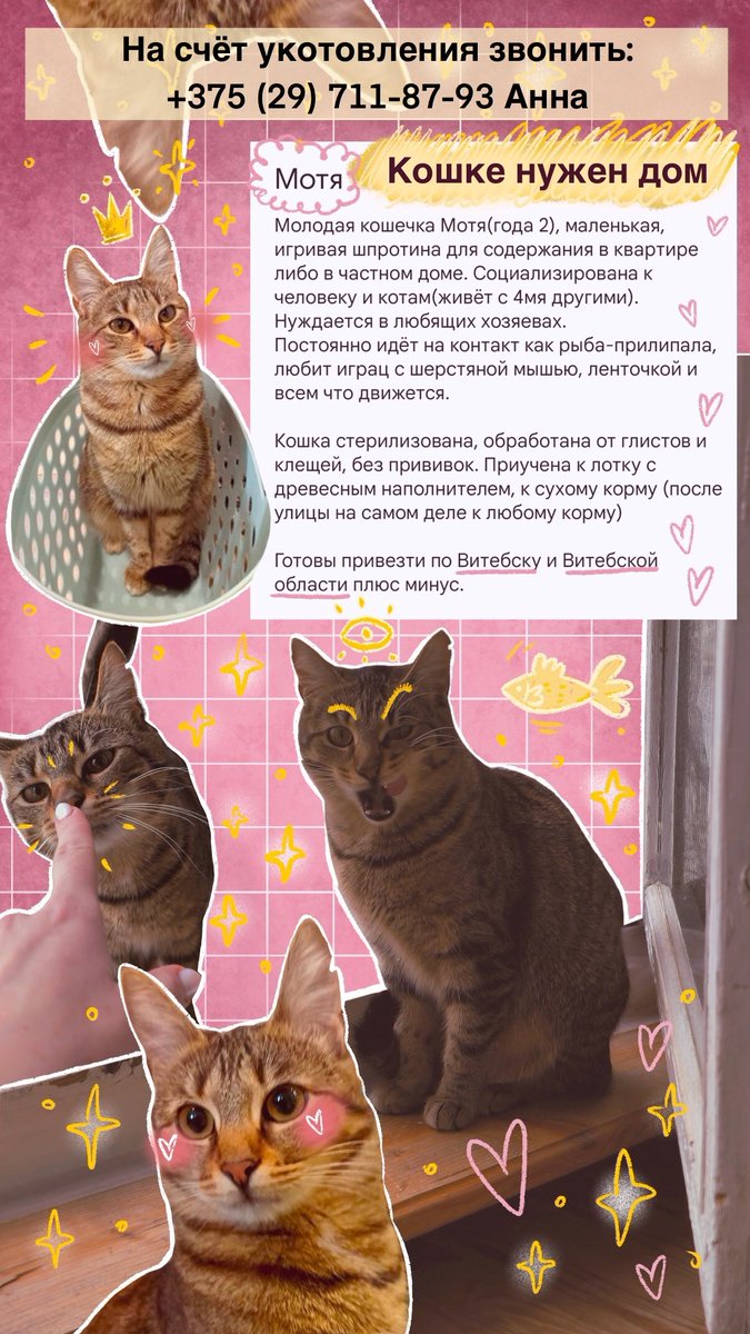 Мале́нькая Бу́льбачка tweet media