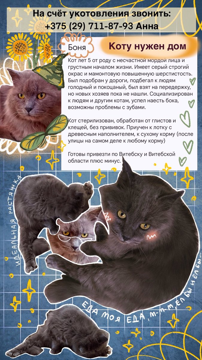 Мале́нькая Бу́льбачка tweet media