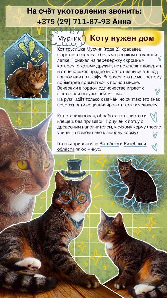 Мале́нькая Бу́льбачка tweet media