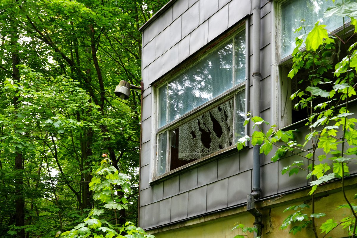 Forstler tweet media