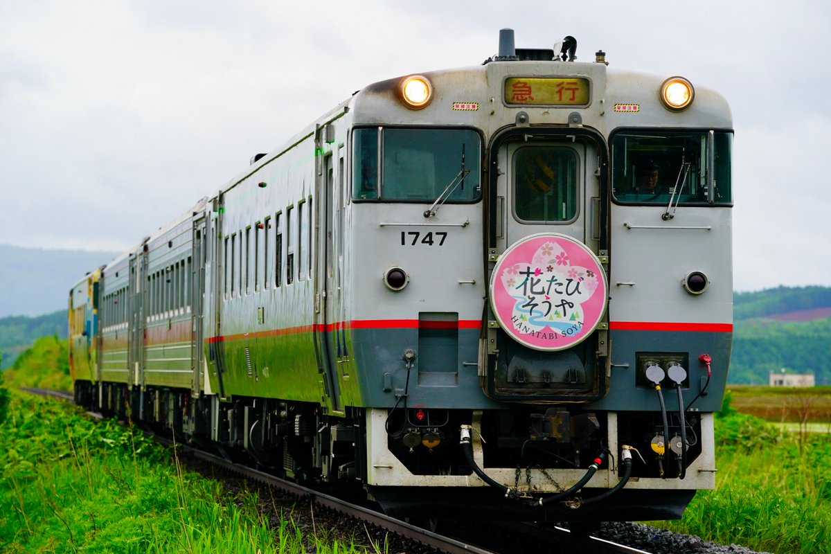 Olaf06049974's tweet photo. 2025.05.25 その後、豊富から長時間停車で追い抜きながら追い4回撮影できました。宗谷色キハ40のいい記録となりました。 https://t.co/bofVDz0R6a