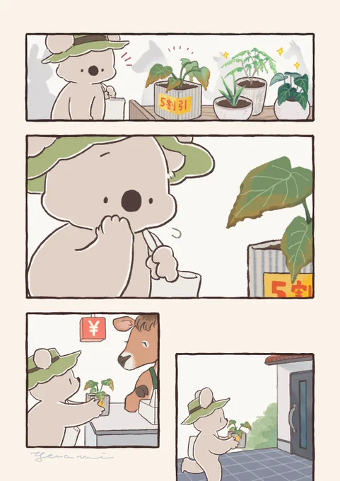 【再掲】観葉植物とコアラ 
