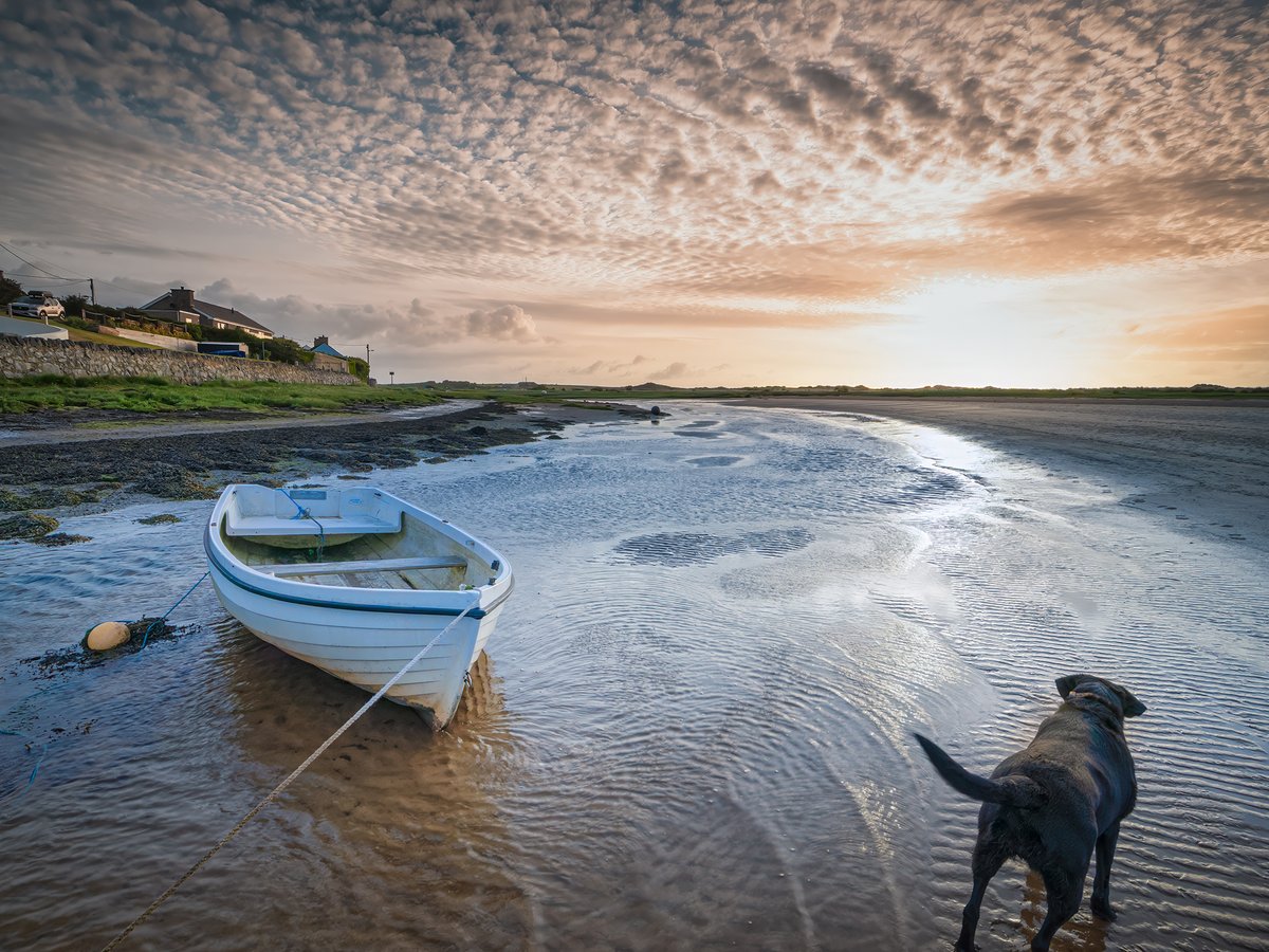 Just a simple coastal scene. Sun up today, on the estuary. Aberffraw, #Anglesey 😊👍