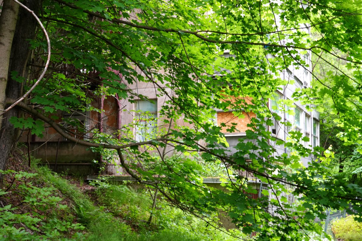 Forstler tweet media