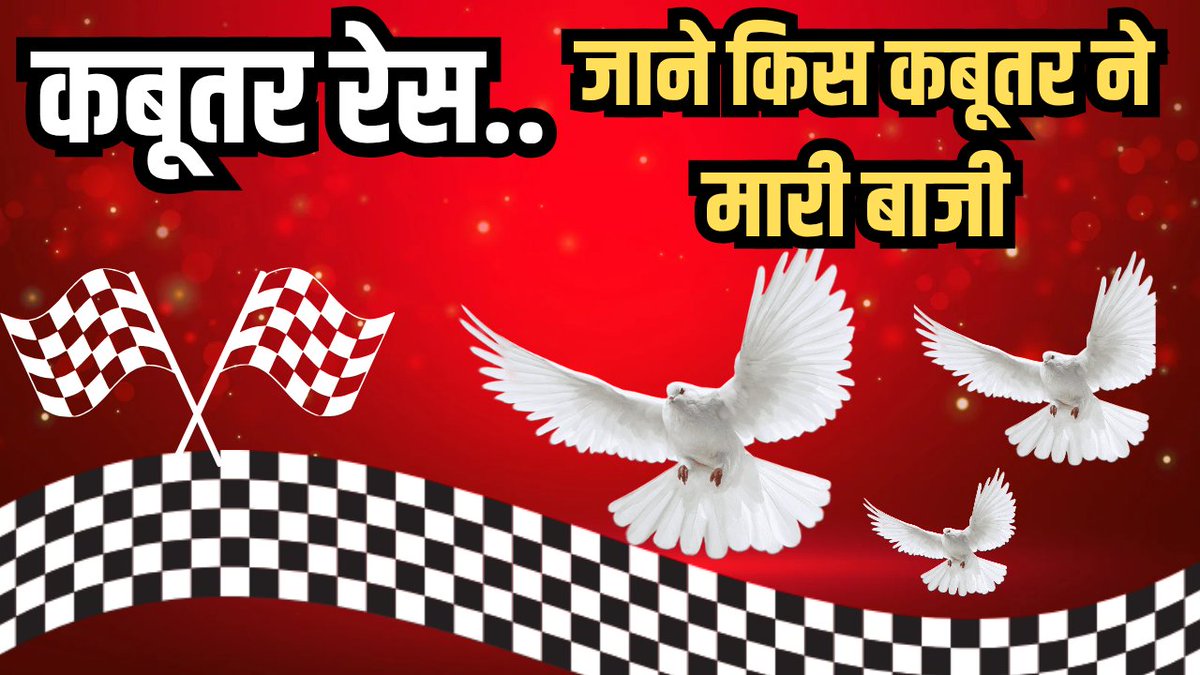 vtimes0's tweet image. कबूतर का रेस ....

youtu.be/4c1WPZxRrz4?si…

#pegion #Race #Competition #kabutarrace #winner
