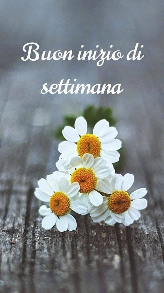 RITABIANCHi56 tweet media