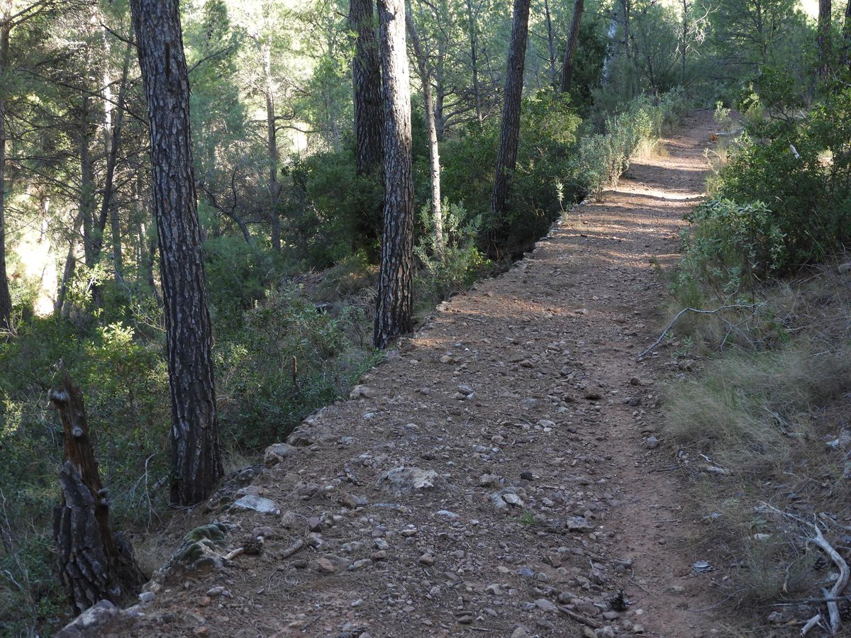 La_Carrasca's tweet image. ¿Quieres descubrir las fuentes históricas del Caño de Espuña? Únete a nuestra próxima excursión y recorre los manantiales emblemáticos, acueductos y senderos llenos de historia y naturaleza
🗓️Domingo, 1 de junio
📲lacarrascaorg.wordpress.com/.../ruta-de-la…
#Senderismo #SierraEspuña #RutasHistóricas