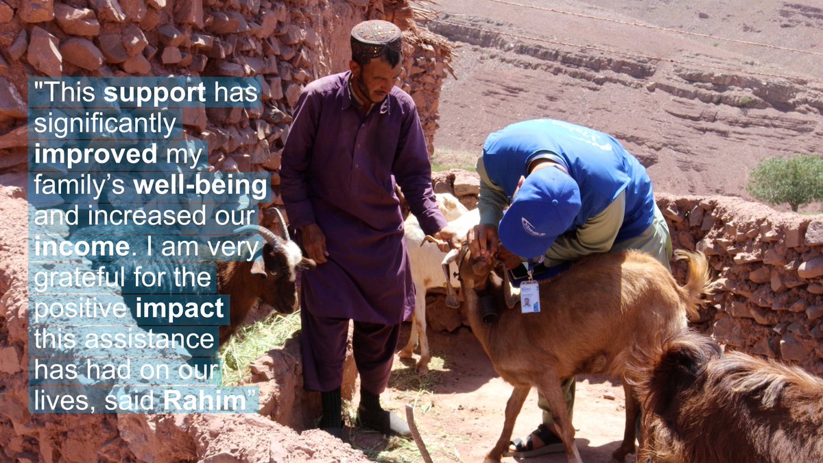vdoafg's tweet photo. Nearly 6 months ago in Herat, Afghanistan, many #livestock keepers received goats to strengthen their local #livelihood and  rural #economy.

I received 6 goats, two were mothers, and four were their baby goats, with essential feed. https://t.co/9u2sfT6Cxv