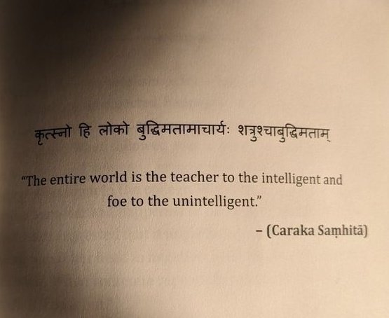 The Letter N tweet media