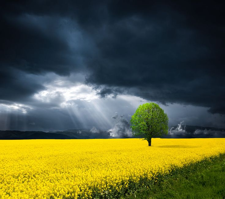 L'angoscia risucchia
tra i pensieri più cupi
un turbine di frammenti
rimbalzano tra i sentimenti
uno sguardo verso il cielo 
resta impigliato 
nel buio più oscuro
il senso svanisce
nel dolore latente
mentre il cuore stride gemente

#Buongiorno #26maggio